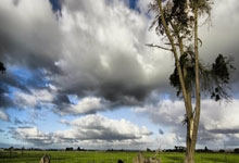 旺财28官网：印尼主帅克鲁伊维特：昨天是特别的一天，球迷让这晚变得难忘.